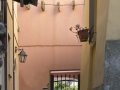 rione canale bergeggi nel cuore FIRMA